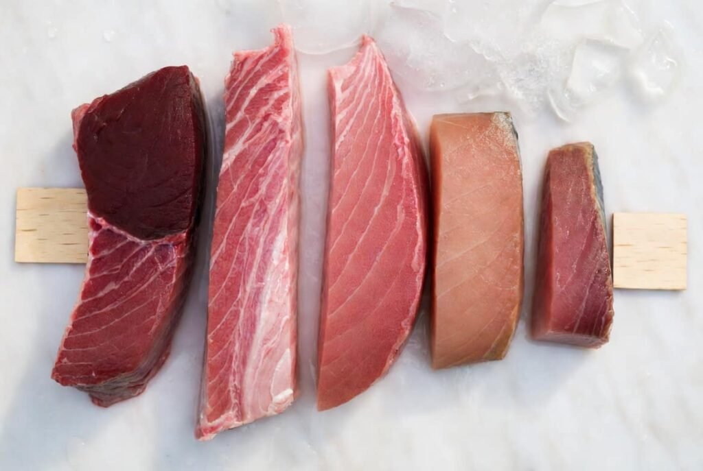 Different types of tuna fish fillets compared including bluefin, yellowfin, and albacore